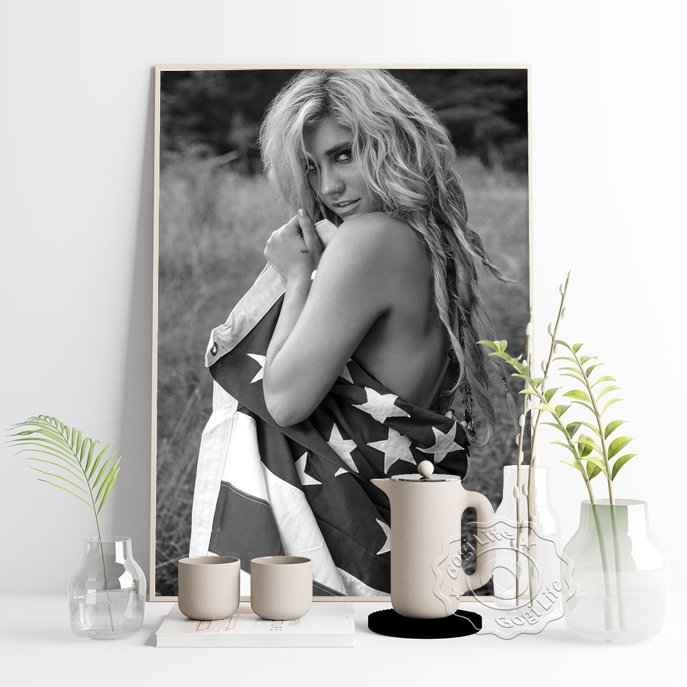 America Popular Music Singer K - Vintage Collectible Posters review and price