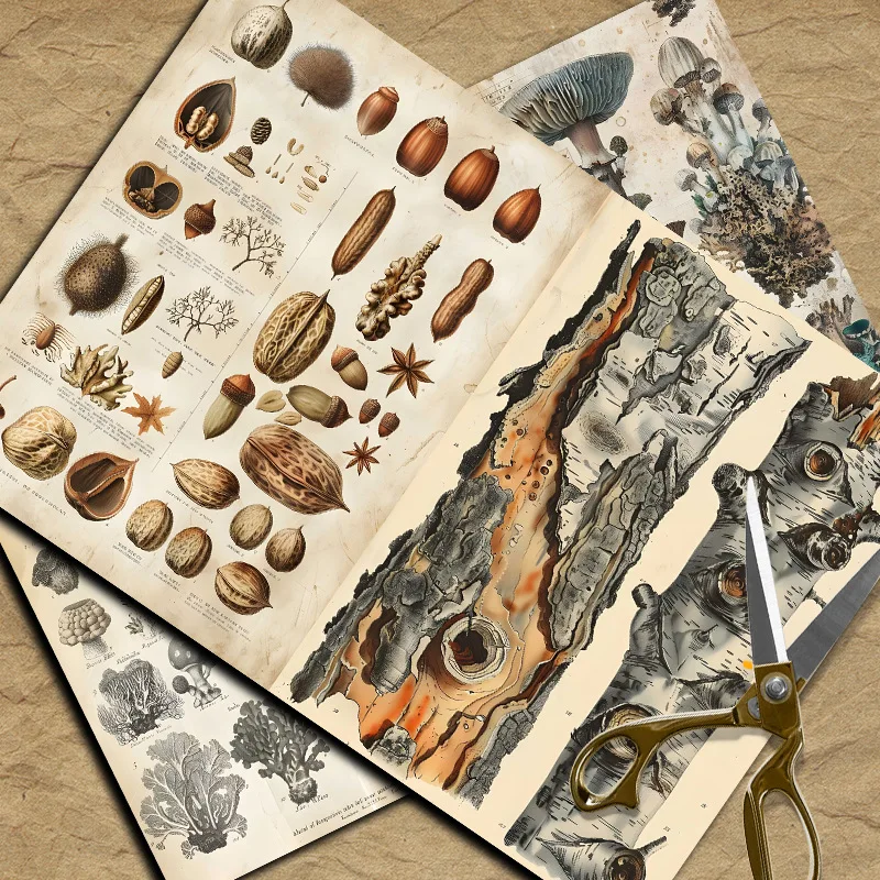 New Vintage Material Papers DI - Vintage Things Collection review and price